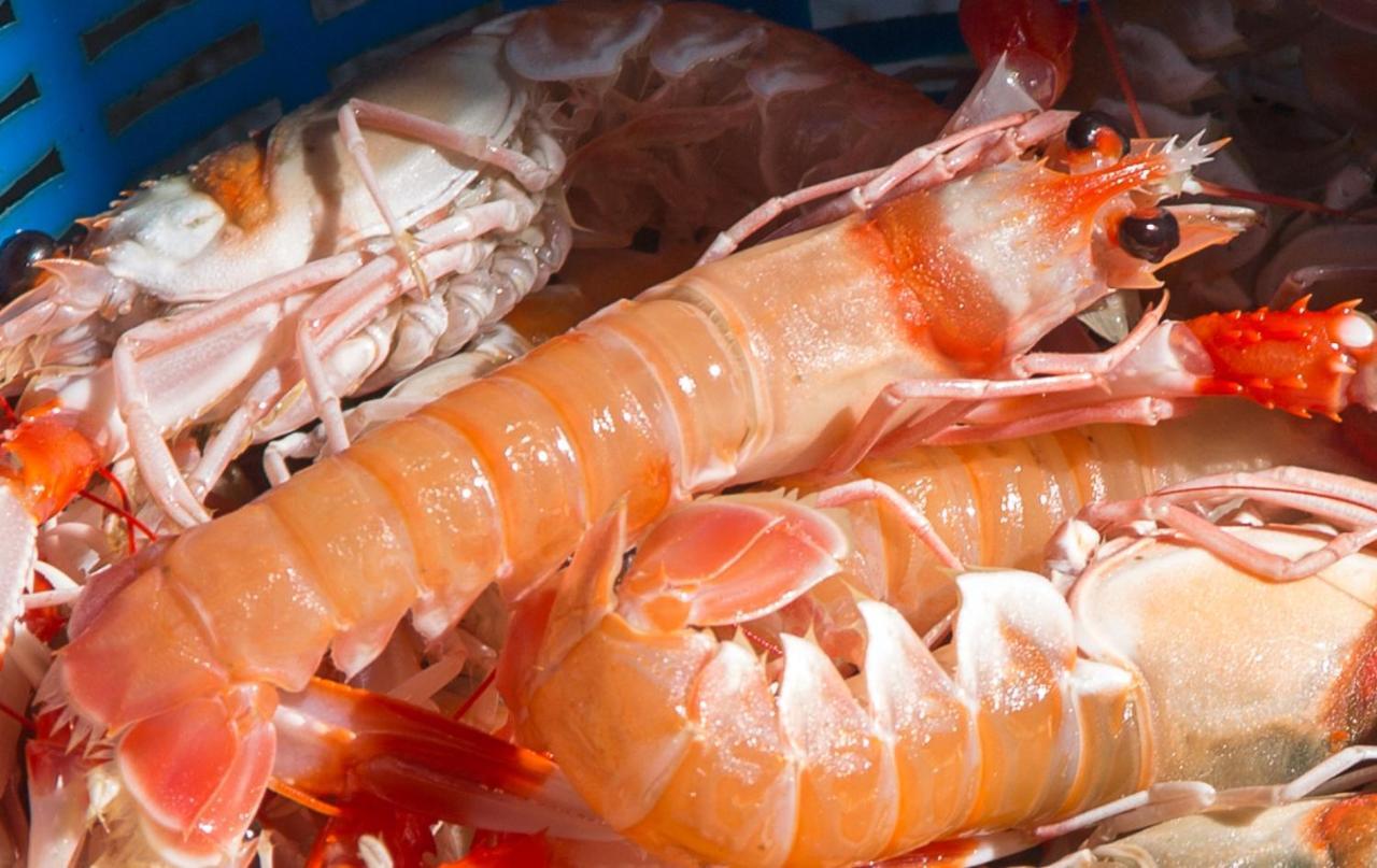 Willa La Casita Del Pescador Caleta De Velez Zewnętrze zdjęcie